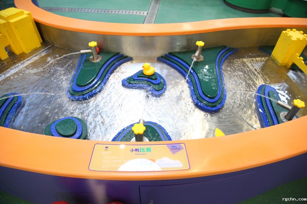 小鸭比赛.jpg